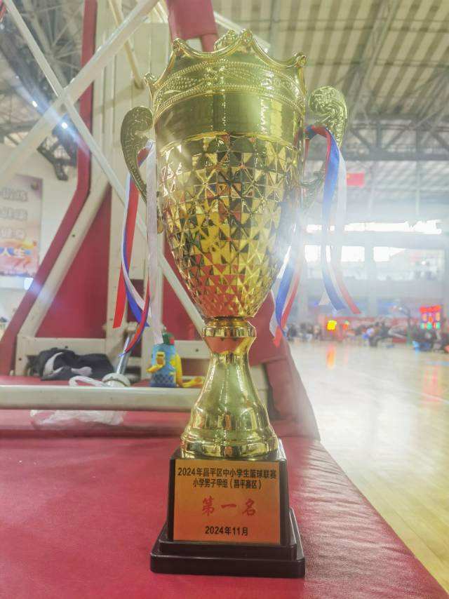 关于运动员勇夺冠军震惊现场赢得掌声的信息