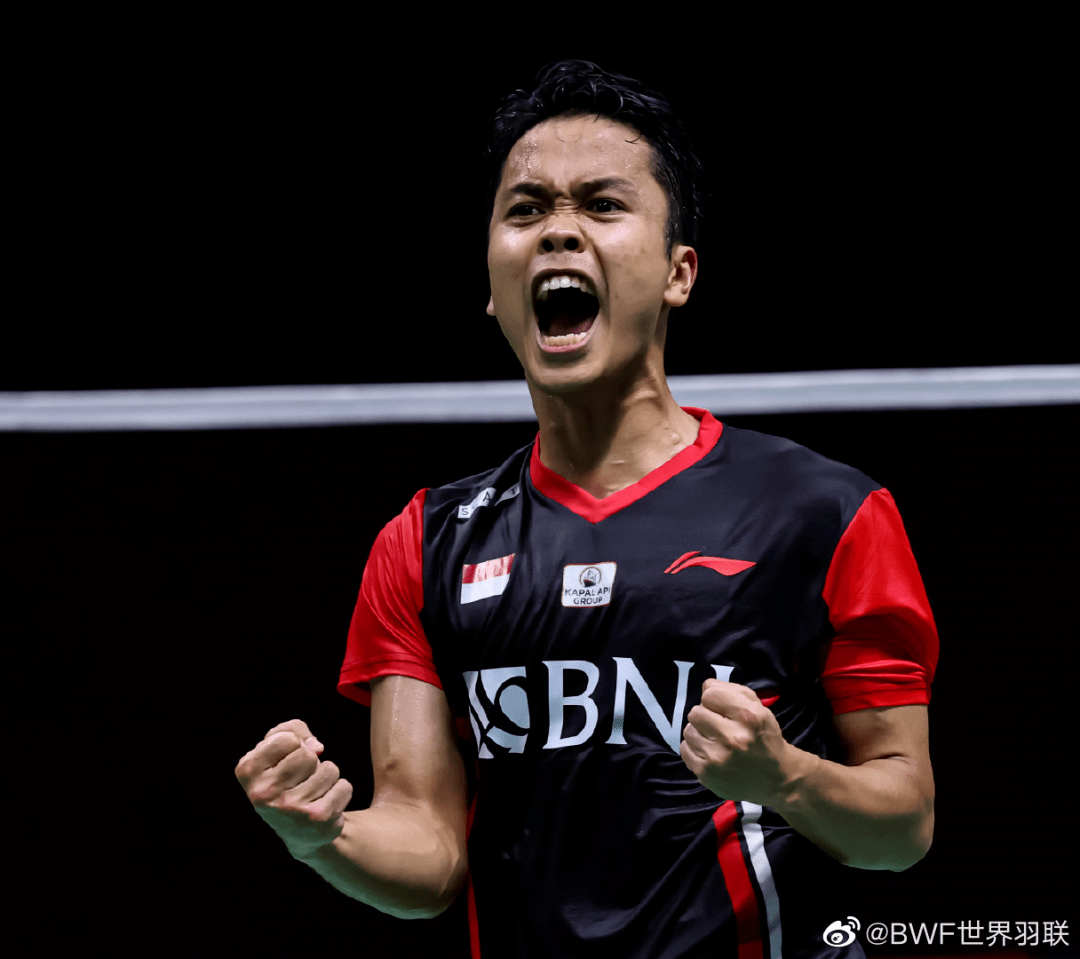 法国队逆转德国队,戴资颖状态火热 法国队逆转德国队,戴资颖状态火热