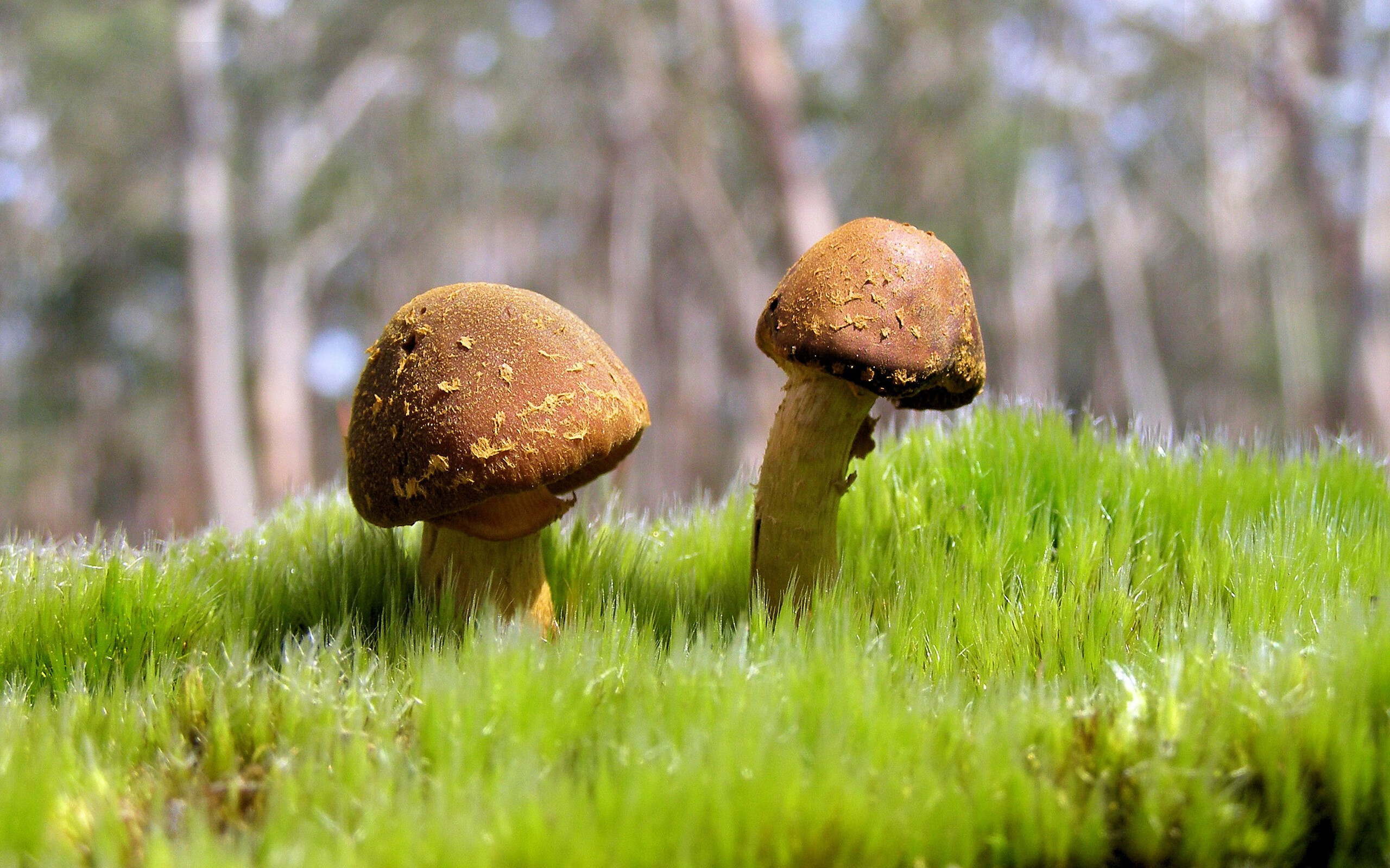 雷火电竞简介-时间膨胀之夜，当勇士与深圳队的抢七战滑入另一个时空