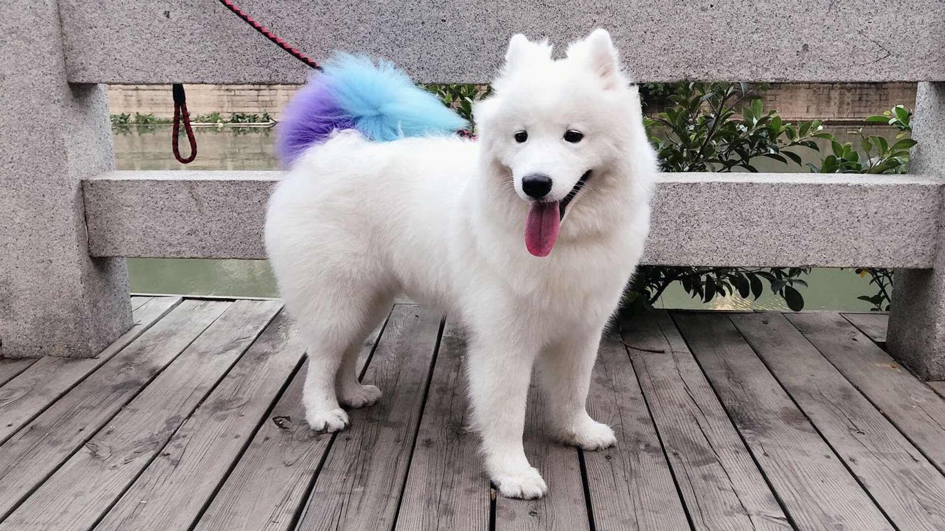 雷火电竞app-双城记，杜兰特的绝命三分与独行侠的逆转潮