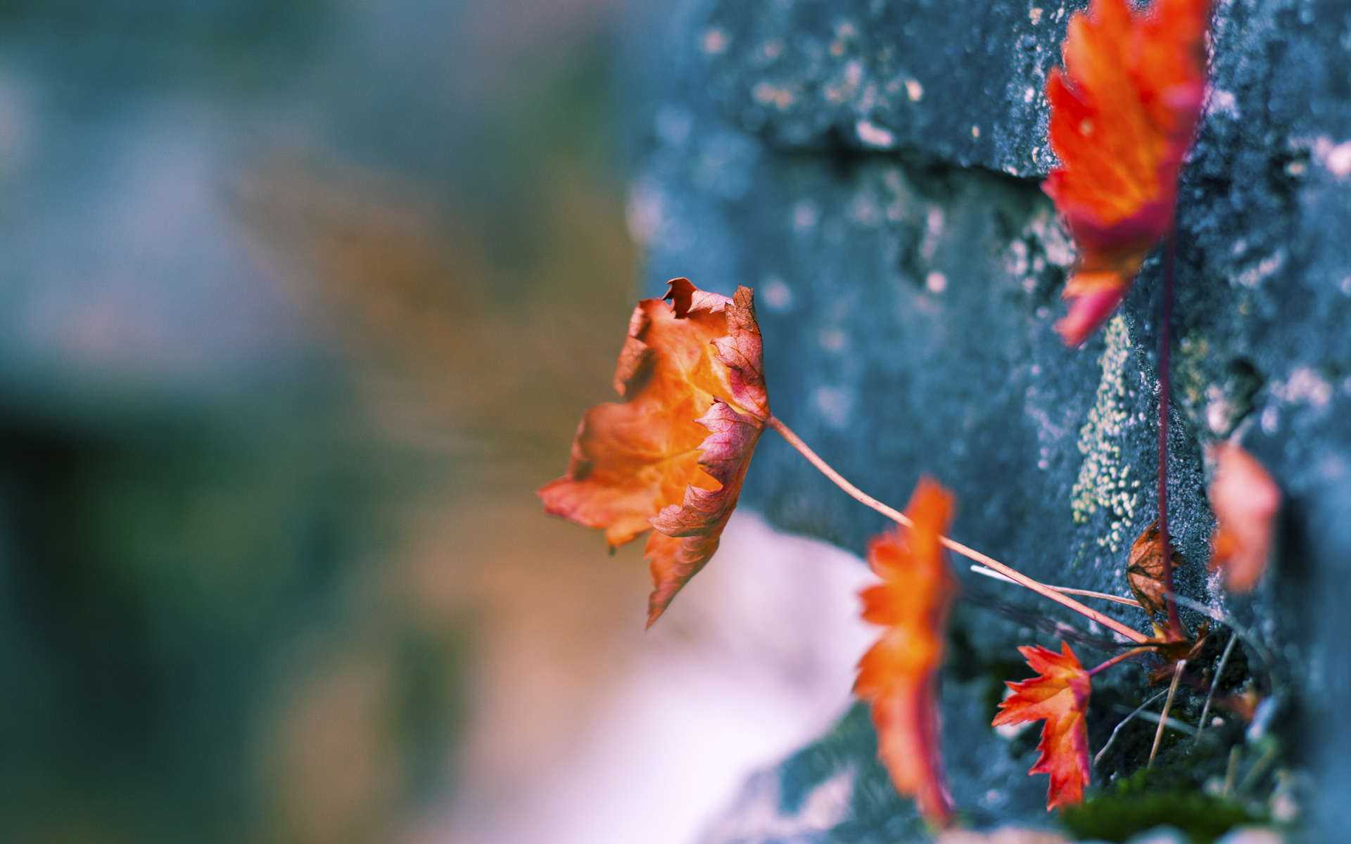 雷火电竞合作-精密如瑞士钟表，当德布劳内成为那柄无解的手术刀