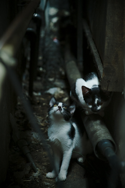 雷火电竞亚洲先驱-死神与巫师，当杜兰特进入完全无解模式，奇才如何点燃横扫热火的魔法