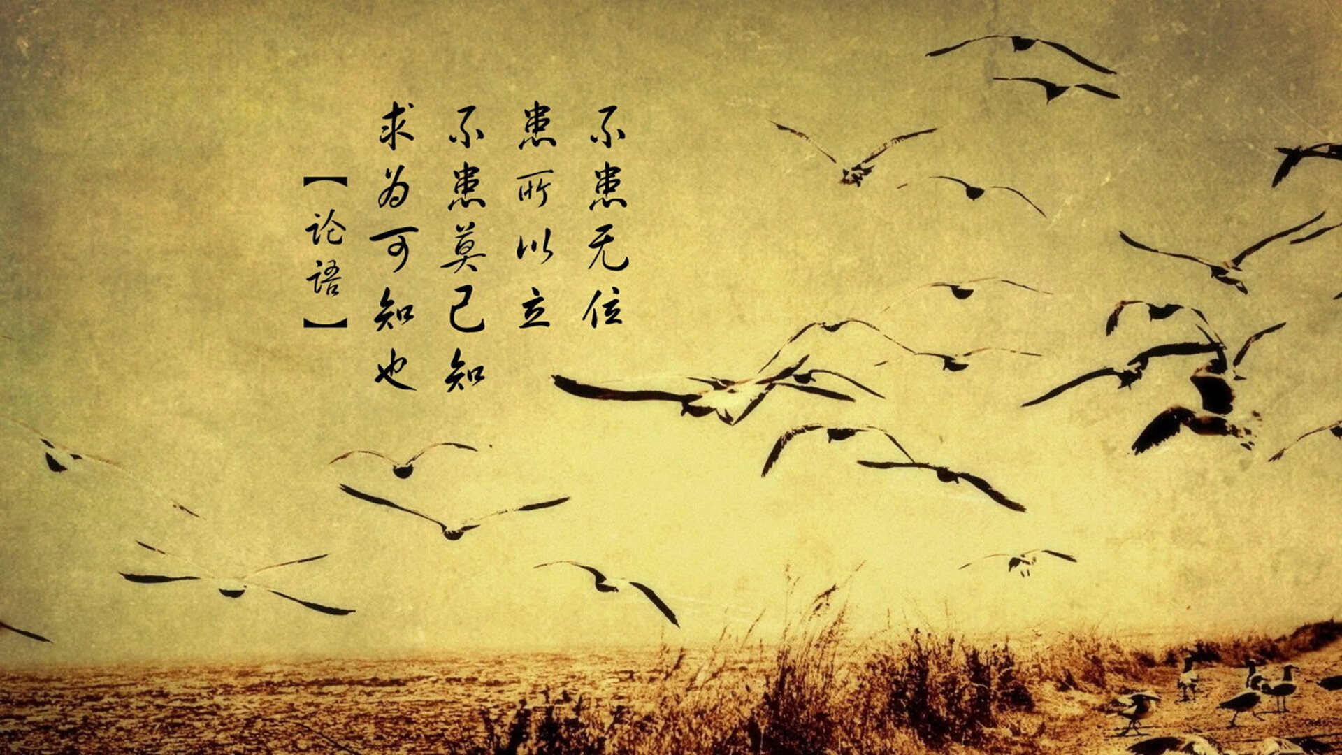 北岸花园的流星，当防守艺术家在东决舞台点燃进攻烈焰