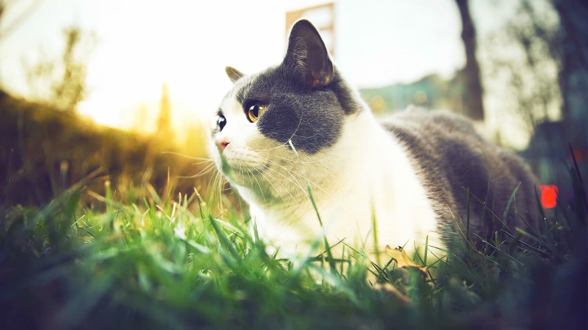 雷火电竞入驻-双线制胜法则，当马里的体系哲学遇见厄德高的孤胆英雄主义