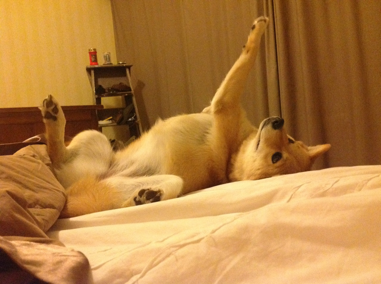 雷火电竞简介-范戴克爆发的个体伟力与几内亚绝杀的集体韧性—足球世界的两种终极答案