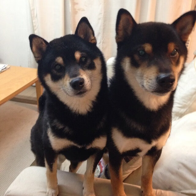 炼金术士的逆转时钟，当马里在圣西罗炼成佩德里的末节神迹