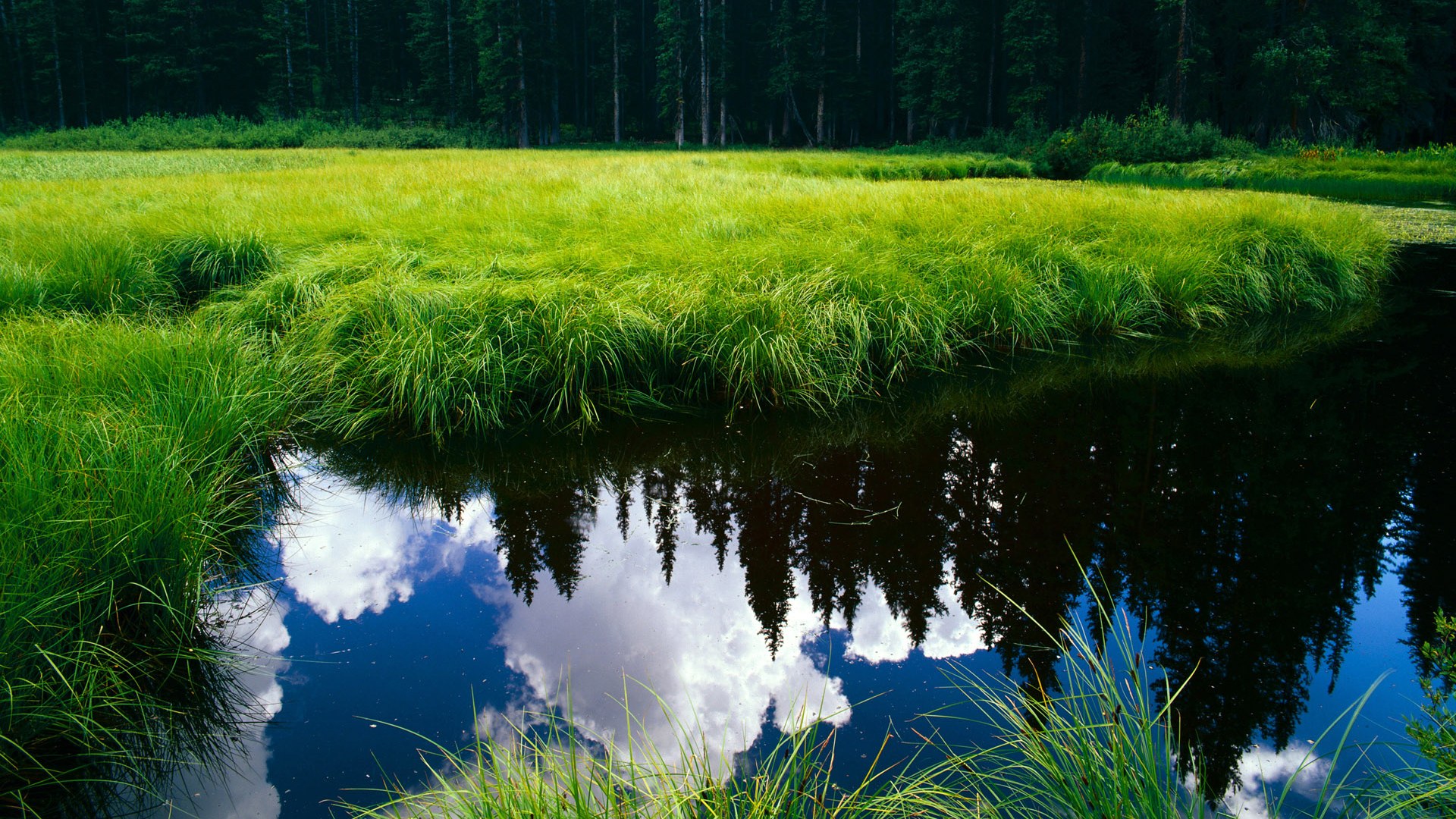 胜利的公式，布伦森的舞台英雄论与勇士的体系碾压术