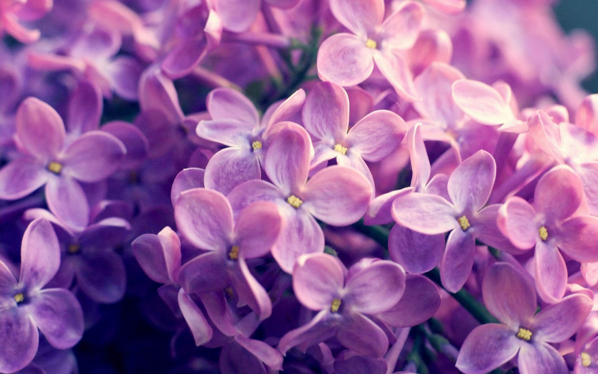 德罗赞，与时代为敌的逆行者，今夜评分拉满即是终极辩白