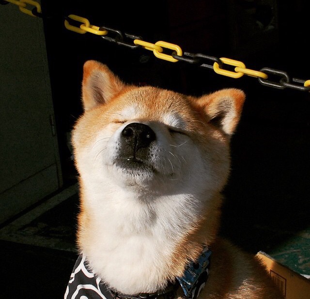 当篮网与活塞在血拼中彼此消耗，詹姆斯在另一个球馆用连续得分决定冠军走向