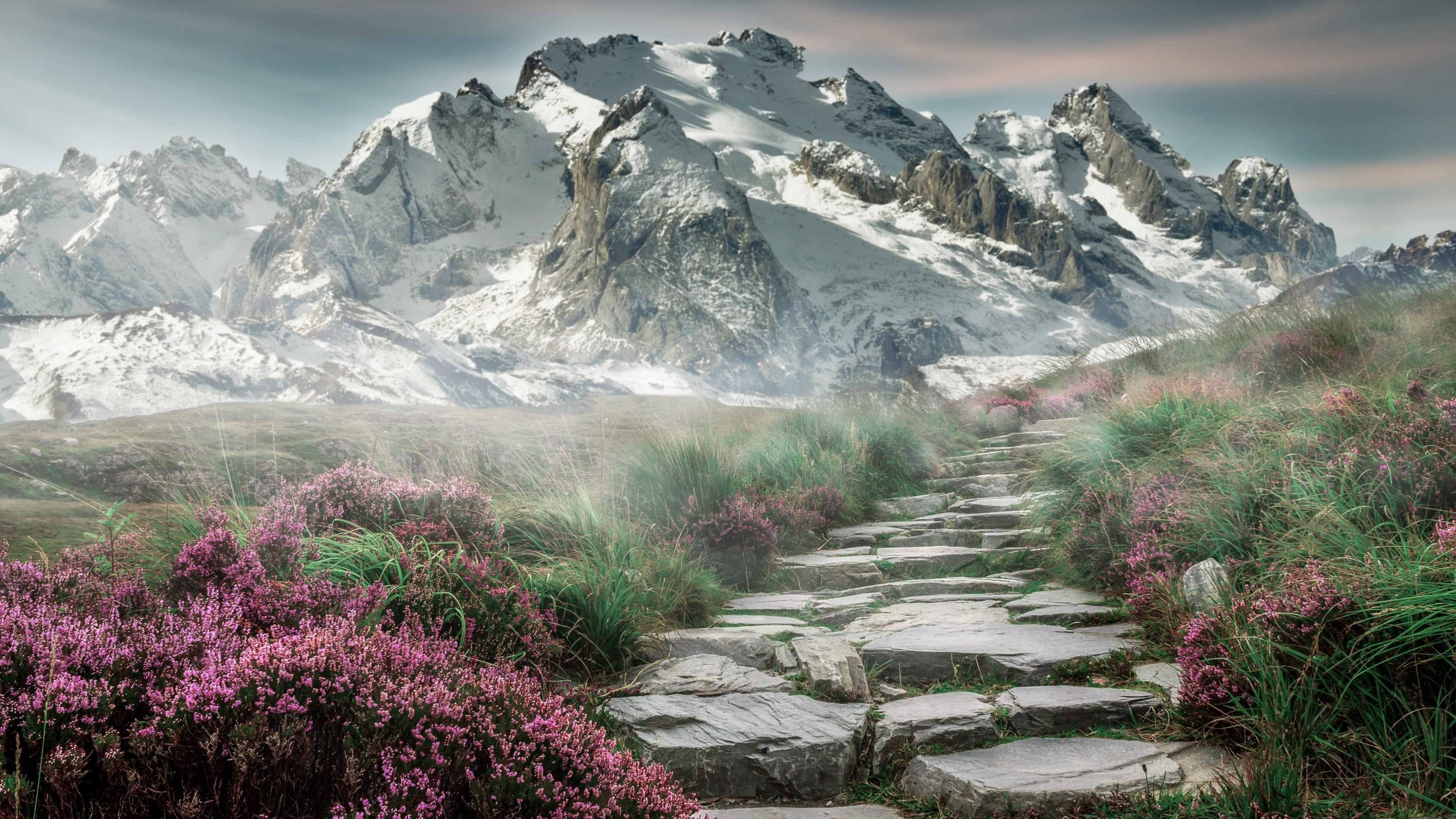 库里三分雨浇灭山西反扑火种，勇士将悬念终结在第一节荒原