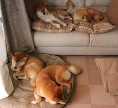 沙漠德比，维尼修斯在卡塔尔的璀璨舞台，又一次印证大心脏传说