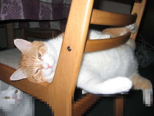 2026世界杯焦点战，巴黎连续得分狂潮压制摩洛哥