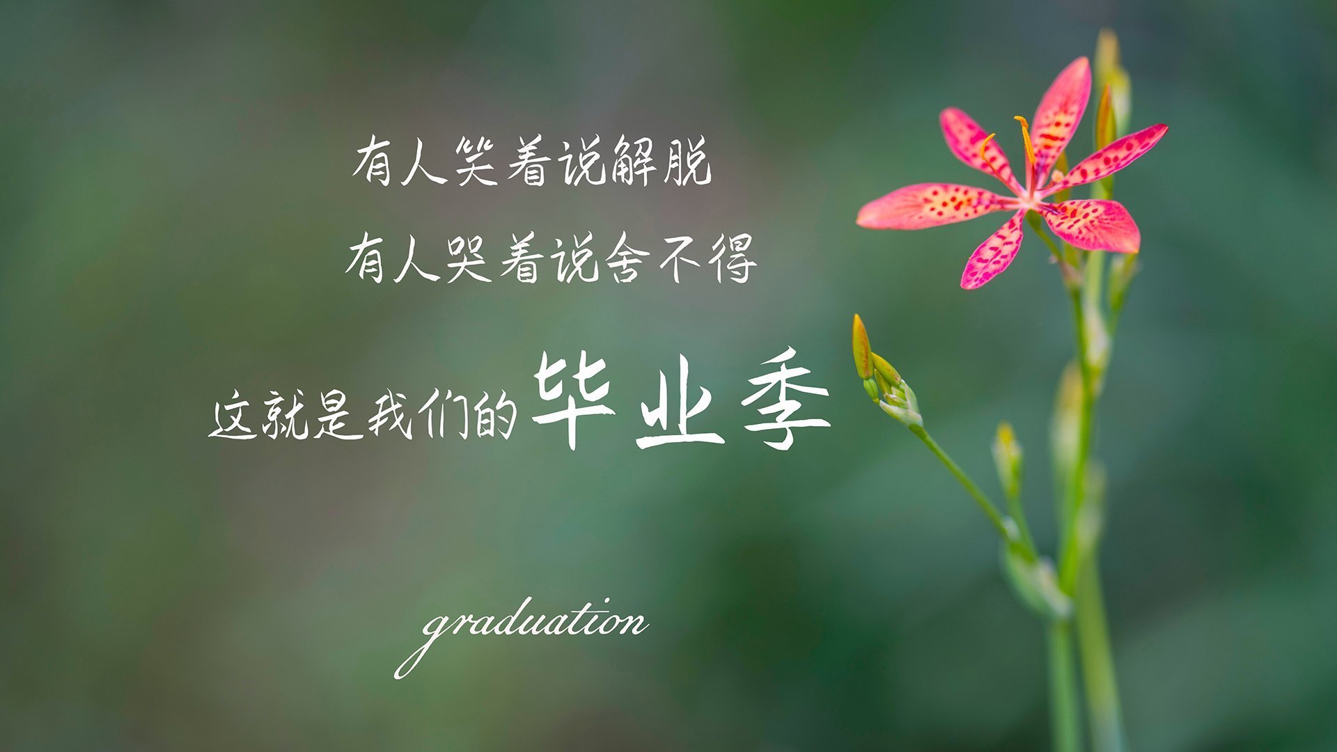 2026世界杯G组,波兰碾压英格兰,维尼修斯独舞南美荣光